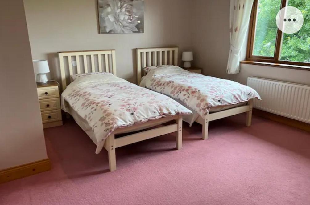 Country Hideaway Apartment Croagh Ngoại thất bức ảnh