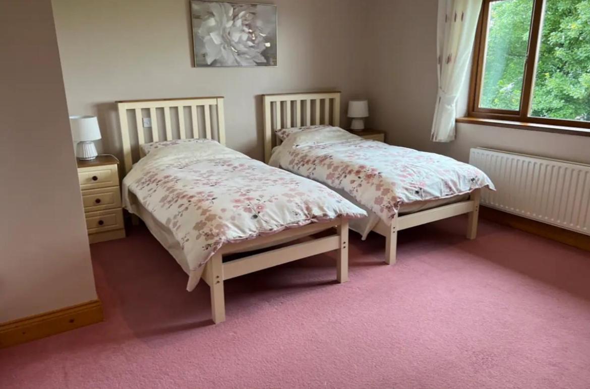 Country Hideaway Apartment Croagh Ngoại thất bức ảnh